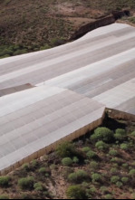 Imagen de Documental: Granadilla de Abona - 4