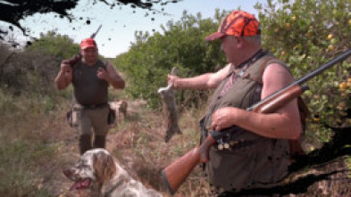 Imagen de Cazadores y perros zarceros - 5