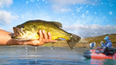 Imagen de The summer bass pursuit HD - 5