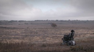 Imagen de Viatge d'hivern - 5