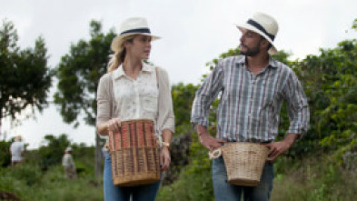 Imagen de El hechizo de un café - 5