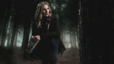 Imagen de Sin rastro de Sarah - 5