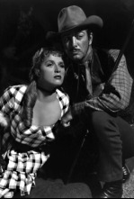 Imagen de Caravana de mujeres - 4