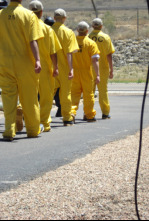 Imagen de Cárceles: Entre rejas: Batallas sangrientas - 6