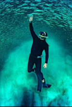 Imagen de Ningaloo. La maravilla...: Colisiones - 4