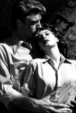 Imagen de Forajidos - 4