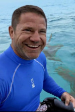 Imagen de Fauna letal - 4