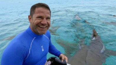 Imagen de Fauna letal: Especial rinocerontes - 5