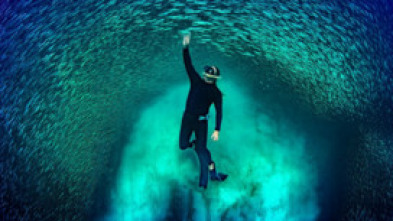 Imagen de Ningaloo. La maravilla...: Colisiones - 14