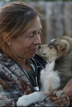 Imagen de Especial Una veterinaria todoterreno  - 6