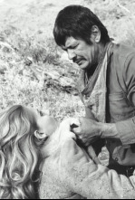 Imagen de Caballos salvajes - 4