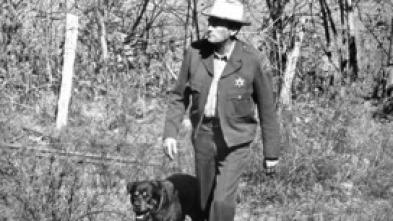 Imagen de Yo vigilo el camino - 5