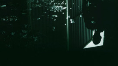 Imagen de Cómo reconocer a... (T9): Ep.9  - 5