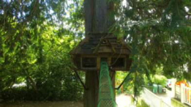 Imagen de Supercasas para... (T1): Castillo para gatos - 5