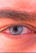 Imagen de Focus: Ep.4 - 4