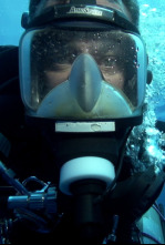 Imagen de Hundidos: RMS Solway - 4