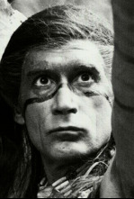 Imagen de Águila gris - 4