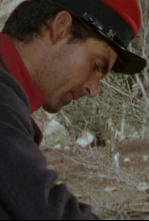 Imagen de Martín, el gaucho - 4