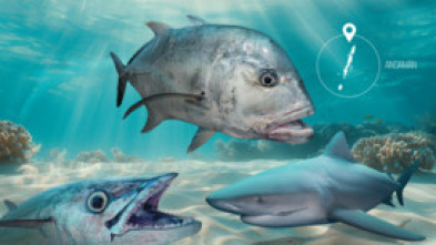 Imagen de Aguas prohibidas Ep 1 - 5