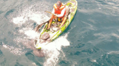 Imagen de Tiburones que se lo comían todo - 7