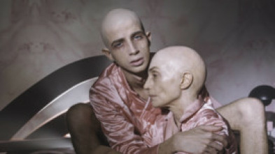 Imagen de La piedad - 5