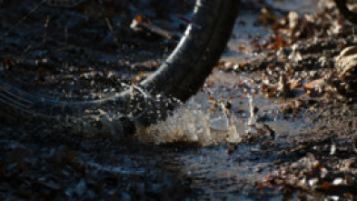 Imagen de Ciclocross... (25/26): Carrera M - 5