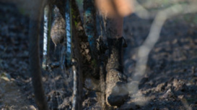 Imagen de Ciclocross de... (2026): Carrera F - 5