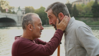 Imagen de Pájaros - 5