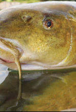 Imagen de Colosos de Ruidera - 4