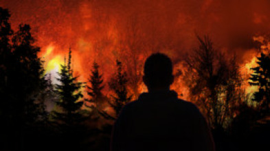 Imagen de Testigos de la tragedia  - 14