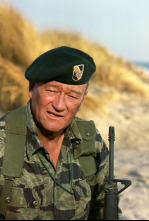 Imagen de Boinas verdes - 4