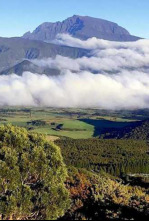 Imagen de Volcans i homes - 4