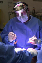 Imagen de Desastres estéticos (T5): Ep.3 - 4