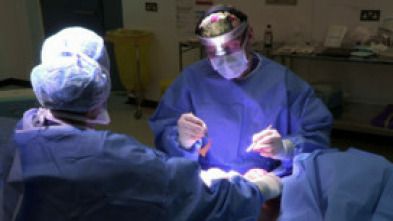 Imagen de Desastres estéticos (T5): Ep.1 - 5