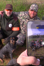 Imagen de La caza social del zorzal - 4