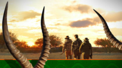 Imagen de África el sueño cumplido de un niño - 5