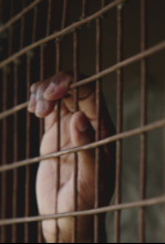 Imagen de Las peores cárceles...: Nueva prisión de Bilibid, Filipinas - 4