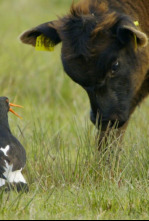 Imagen de Defender a la familia - 4