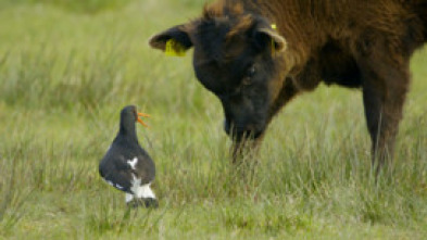 Imagen de Defender a la familia - 5