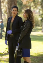Imagen de Rizzoli & Isles (T5): Ep.2 Adiós - 4