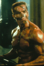 Imagen de Comando - 5