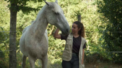 Imagen de Somos animais - 5