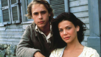 Imagen de Tierra de héroes - 5