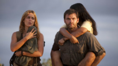 Imagen de 600 kilos de oro puro - 5