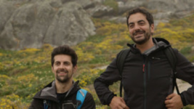 Imagen de Imos Indo - 5