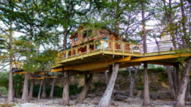 Imagen de Mi casa en un árbol (T6) - 7