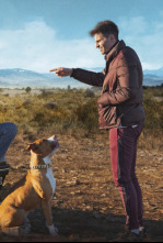 Imagen de Chien de la casse - 4