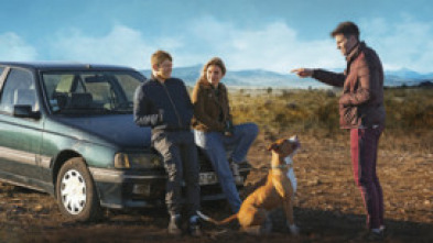 Imagen de Chien de la casse - 5