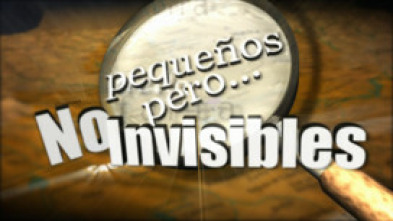 Imagen de Pequeños, pero no invisibles  - 5