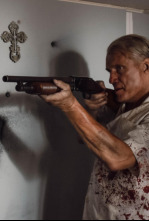 Imagen de Wanted Man (Se busca) - 4